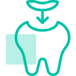 Dental Filling